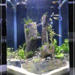 FISHTANK