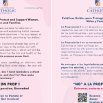 Bilingual-No-on-Prop-1-for-Web