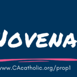 NOVENA-BANNER