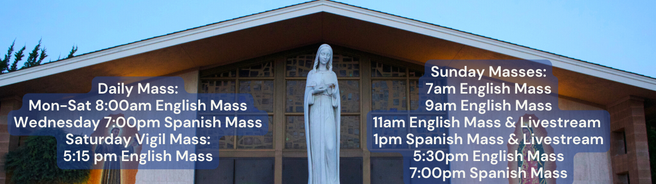 Daily Mass Mon-Sat 800am English Mass Wednesday 700pm Spanish Mass Saturday Vigil Mass 515 pm English Mass